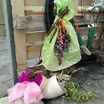 Mal Parata * Albenga