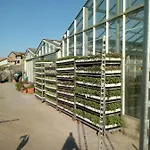 Mal Parata Agroturismo *