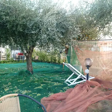 Mal Parata * Albenga