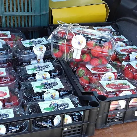 Feriegård Mal Parata *