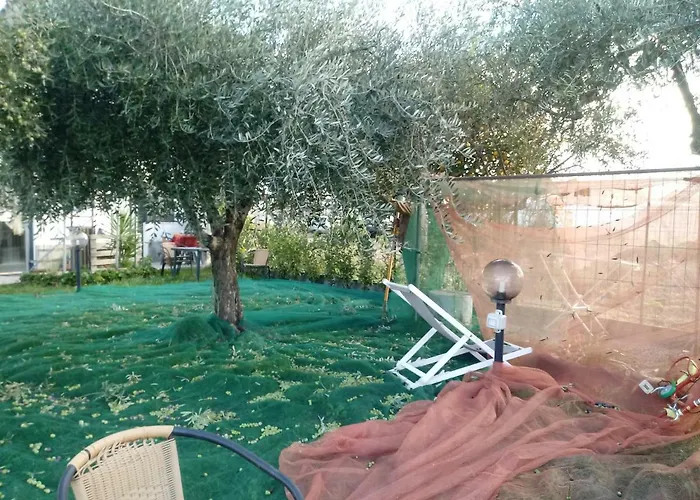 Mal Parata * Albenga