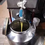 Mal Parata Albenga