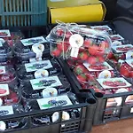 Alloggio per agriturismo Mal Parata *