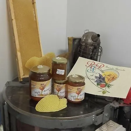 Mal Parata *