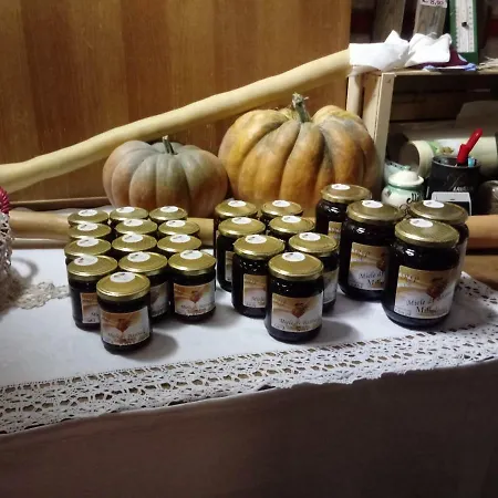 Farm stay Mal Parata Albenga