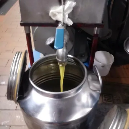 Mal Parata Albenga