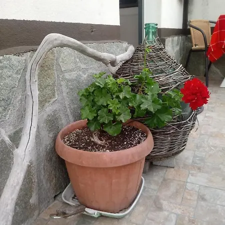 Farm stay Mal Parata *