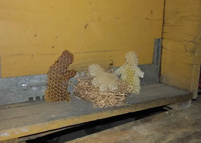 Farmház Mal Parata Albenga