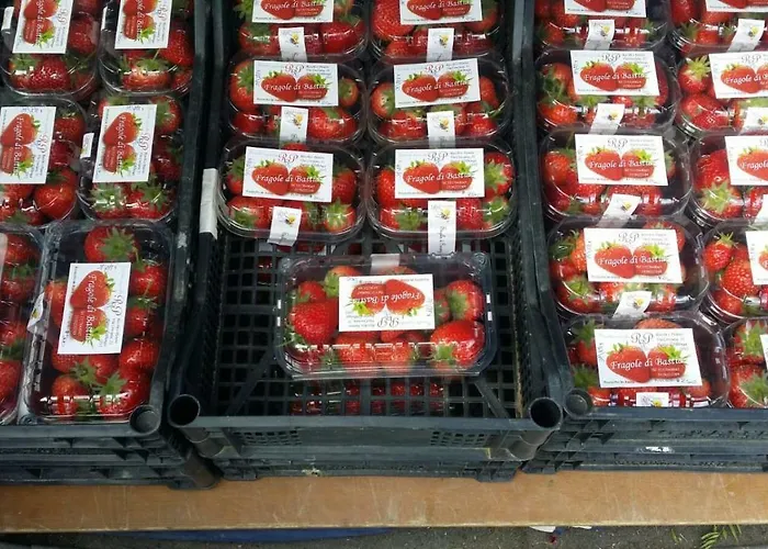 בית חווה Mal Parata *