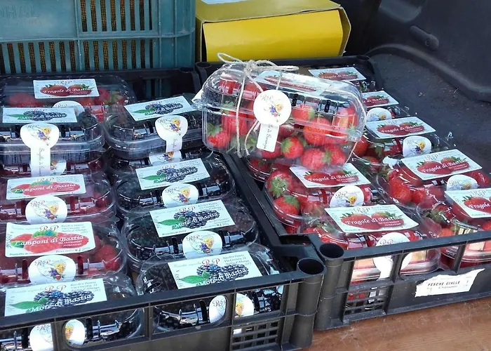 בית חווה Mal Parata *