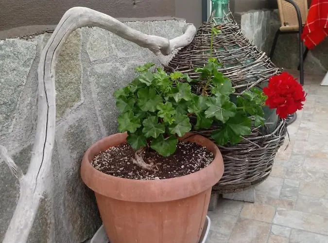 בית חווה Mal Parata *